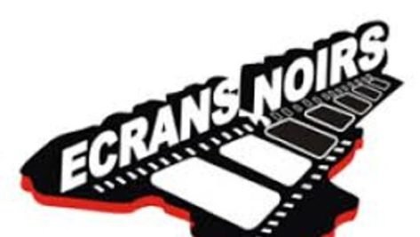 festival-ecrans-noirs-2019-lefilmcamerounai-5