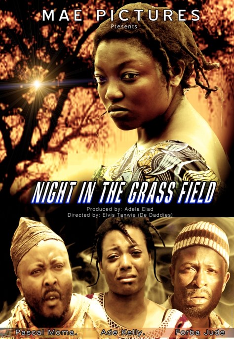night-in-the-grass-field-lefilmcamerounais-7