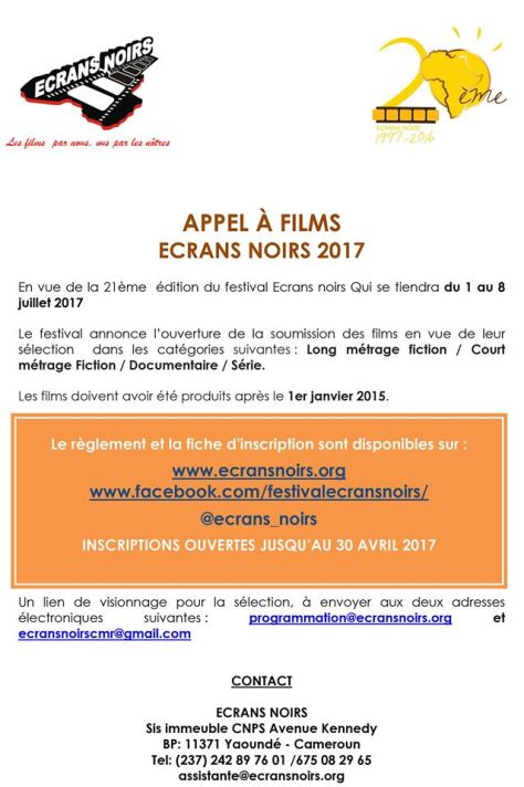 appels-a-films-ecrans-noirs-2017-lefilmcamerounais-8