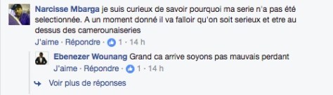 ecrans-noirs-2017-selection-lefilmcamerounais-5